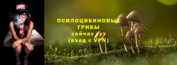 МДПВ Козельск