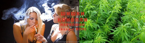 МДПВ Козельск
